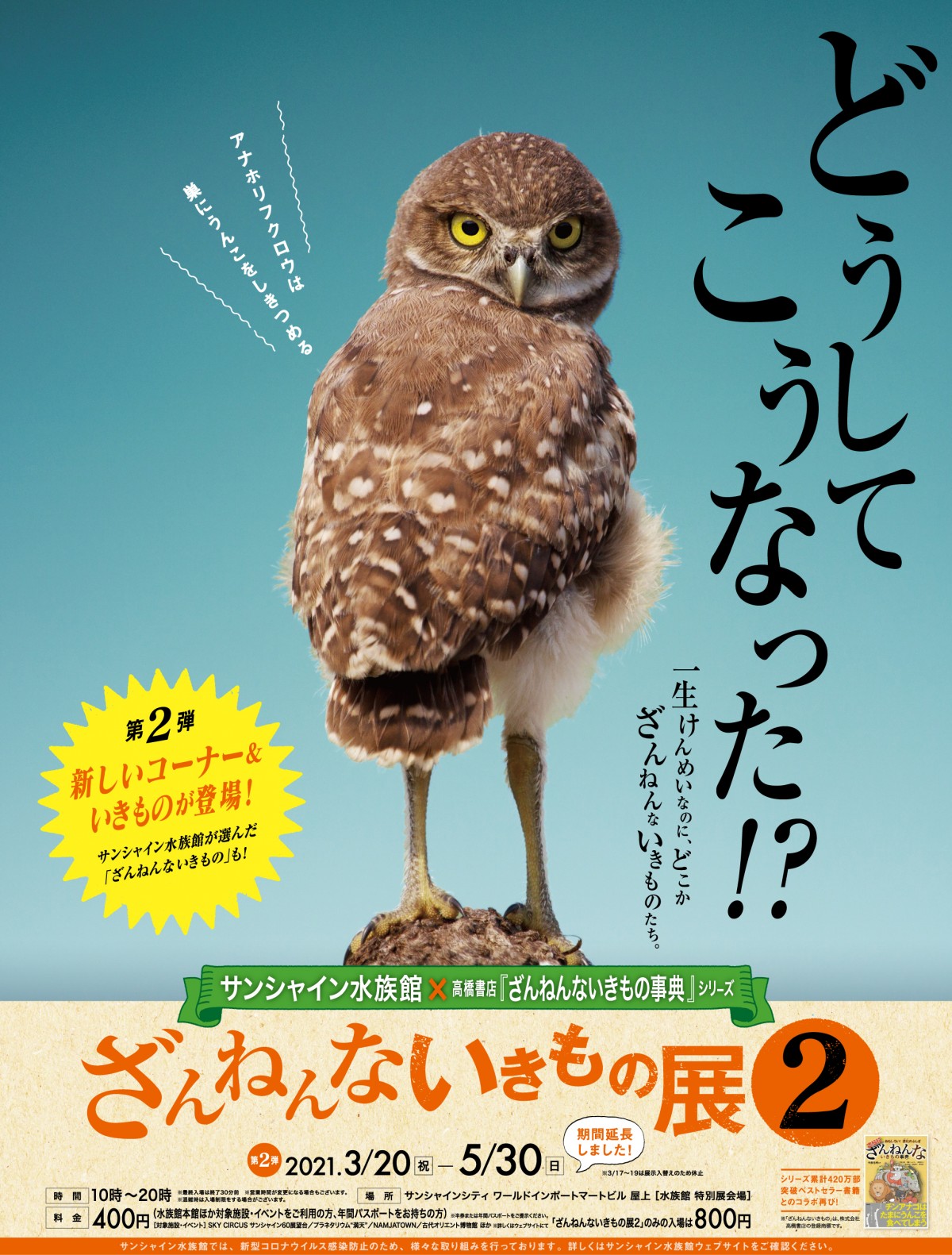 「ざんねんないきもの展2」第2弾がスタート！　アナホリフクロウなど9種を新たに展示