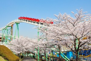 「ひらかたパーク」アトラクションから“お花見”