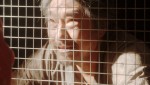 【写真】『おちょやん』“テルヲ”トータス松本が壮絶な最期を遂げた第75回