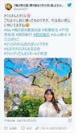 桜の樹の下の戸田恵梨香が美しい　※『俺の家の話』公式ツイッター
