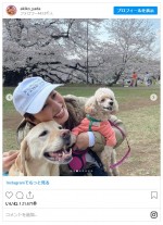 満開の桜の下で愛犬・もなか＆犬友のアディと記念撮影　※「矢田亜希子」インスタグラム	