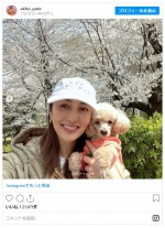 満開の桜の下で愛犬・もなかと記念撮影　※「矢田亜希子」インスタグラム	