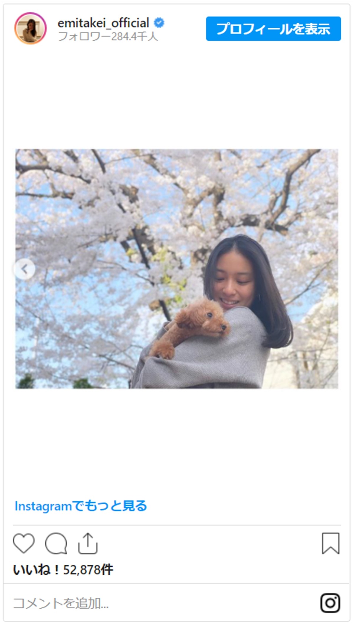 武井咲、愛犬抱っこしてお花見　ナチュラルな美貌をネット絶賛