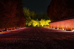 体感型アート展「NAKED FLOWERS 2021 −桜− 世界遺産・二条城」