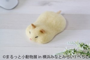 まるっと小動物展 in 横浜みなとみらい