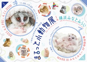 まるっと小動物展 in 横浜みなとみらい