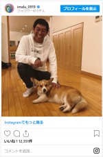 IMALU、父・明石家さんまと愛犬の2ショットを撮影　※「IMALU」インスタグラム