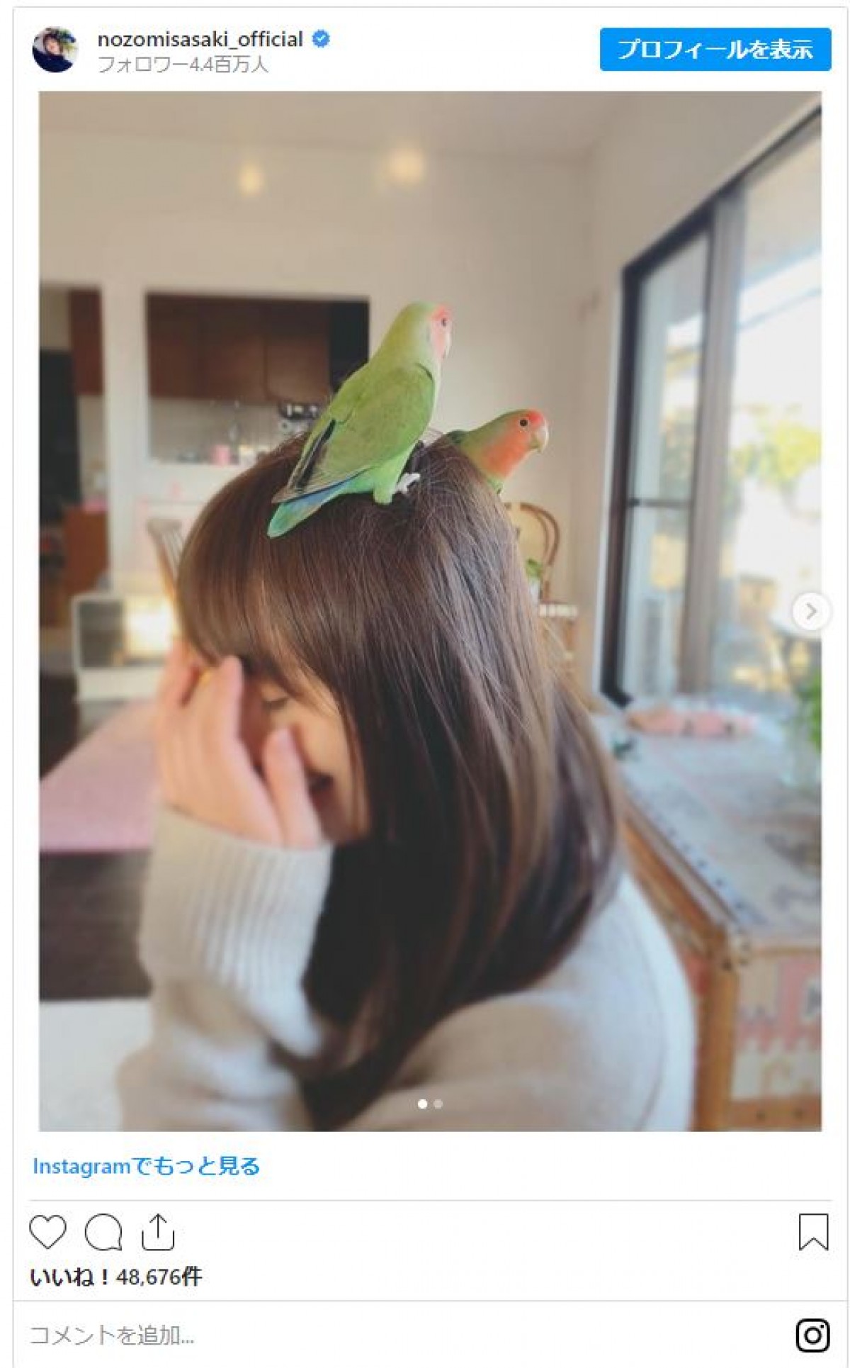 佐々木希「なんて可愛いの」 小鳥を頭に乗せてニッコリ　ファン「あなたが1番可愛い」