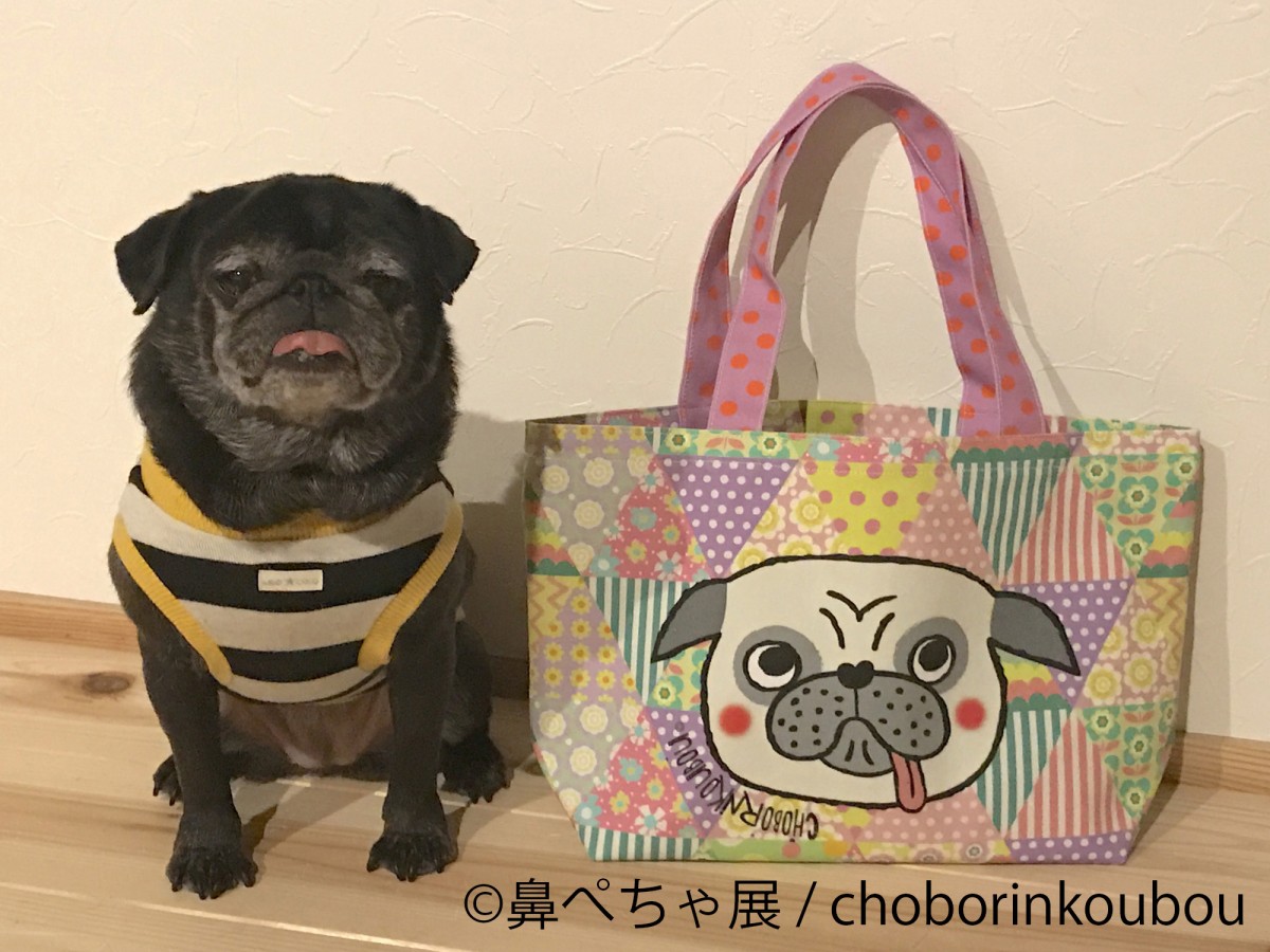 鼻ぺちゃ展
