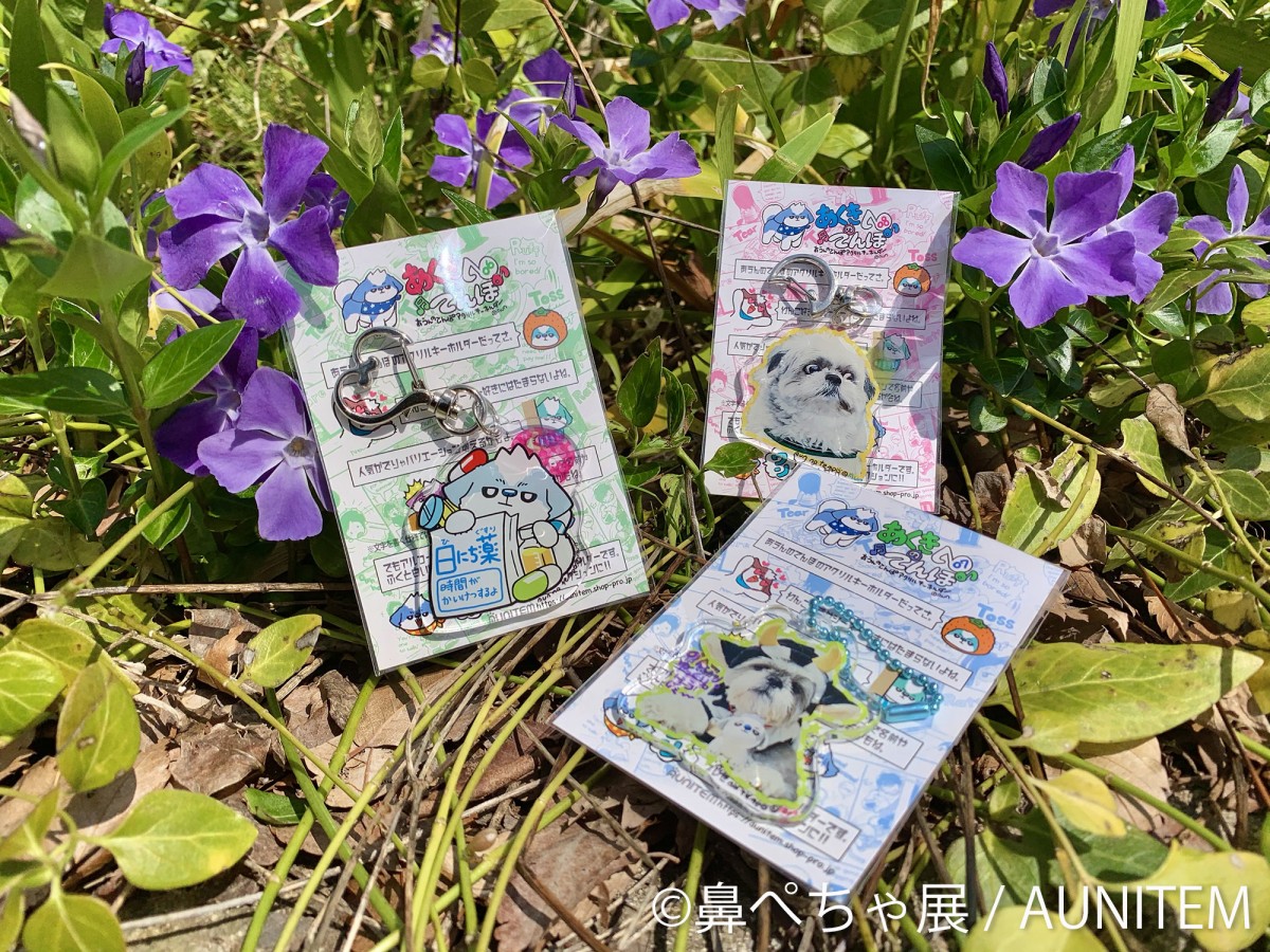 鼻ぺちゃ展