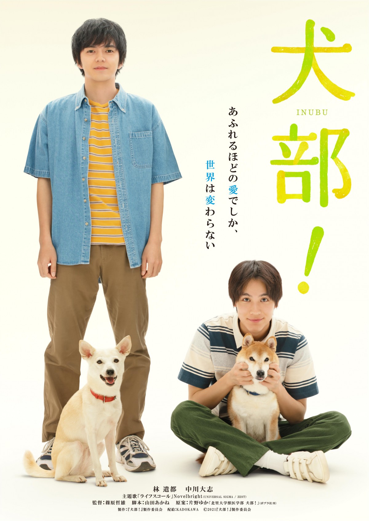 林遣都×中川大志『犬部！』7.22公開決定　大切な相棒への愛があふれるティザービジュアル解禁