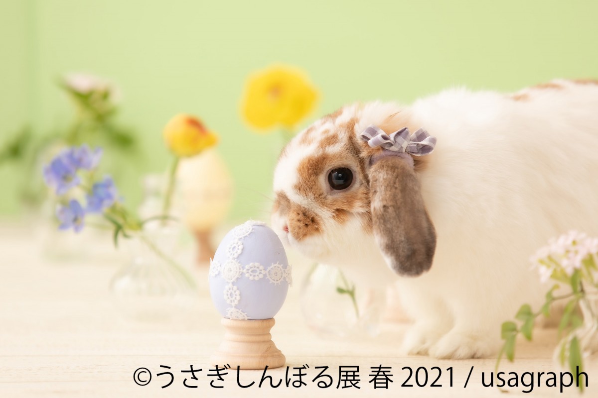 うさぎしんぼる展　名古屋