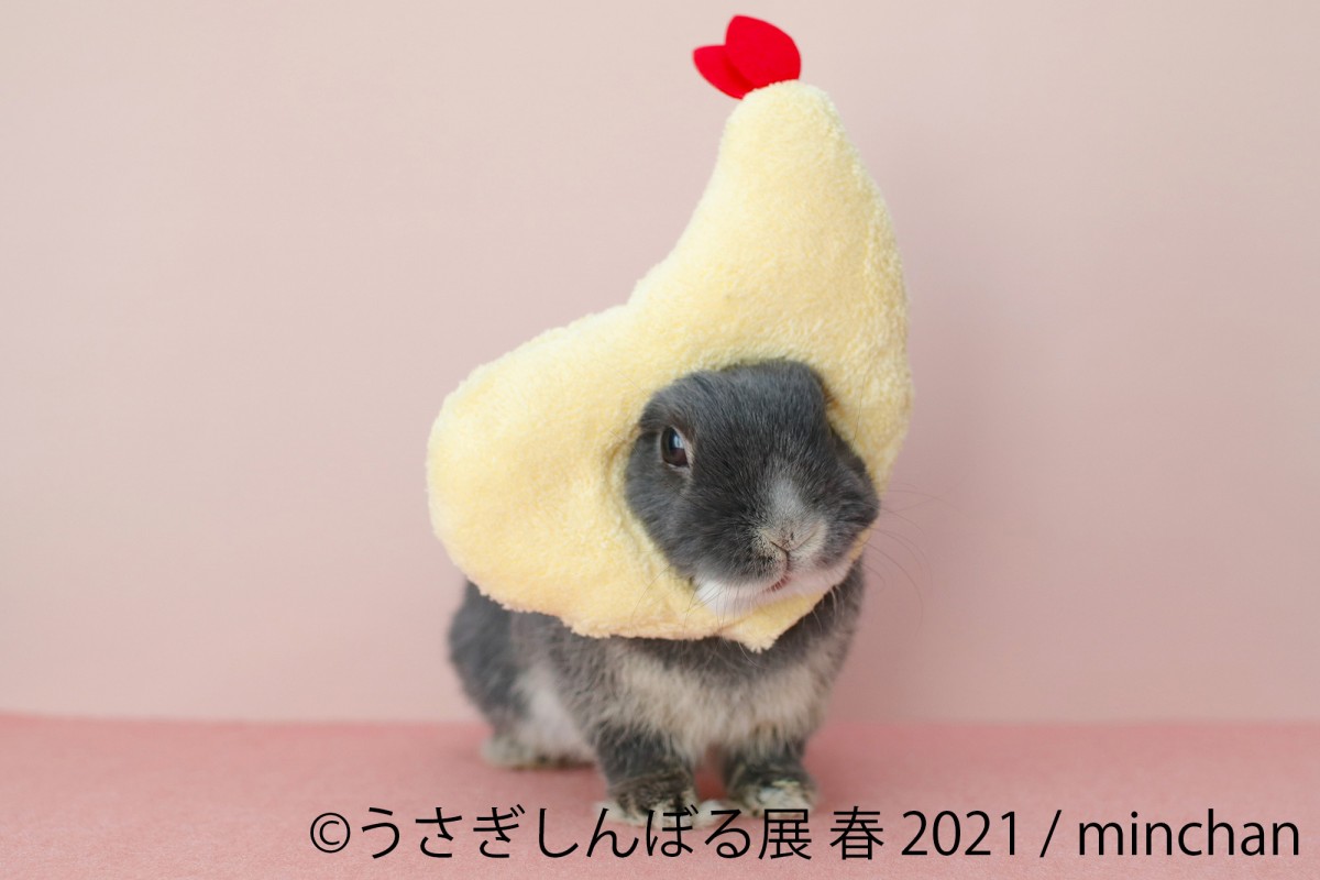 うさぎしんぼる展　名古屋