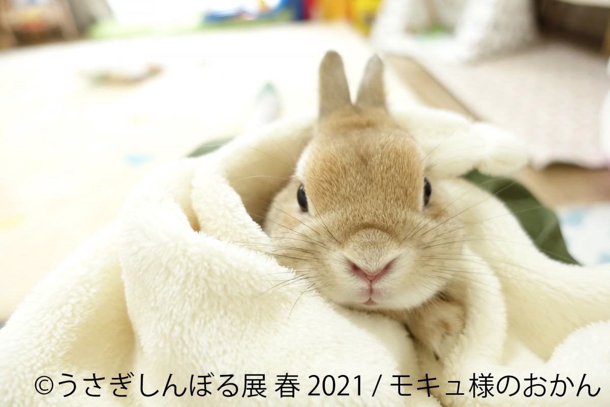 うさぎしんぼる展　名古屋