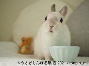 うさぎしんぼる展　名古屋