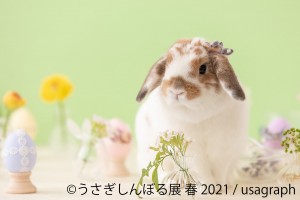 うさぎしんぼる展　名古屋