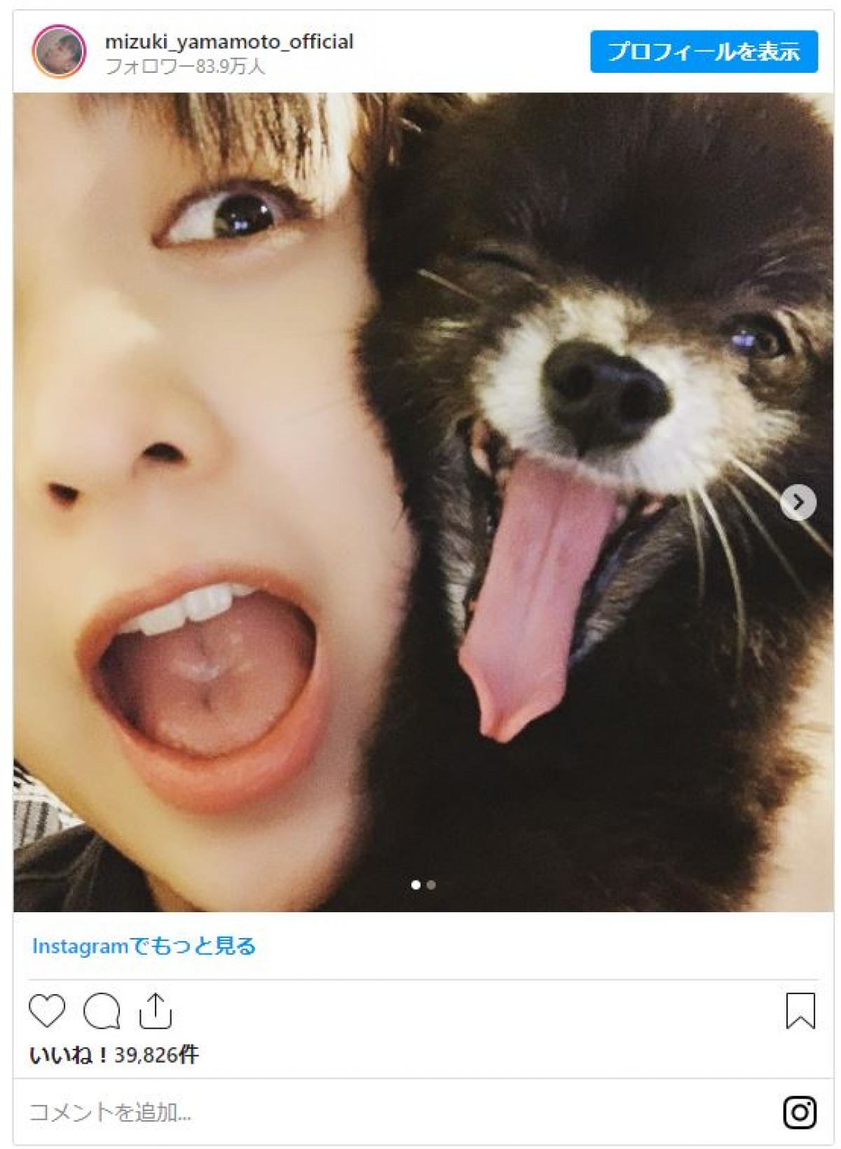 山本美月、愛犬がウインクする“奇跡的瞬間”ショット 「ナイスなタイミング！」と反響