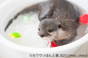  「カワウソほんと展 2021」