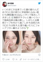 有村藍里、ほくろ除去手術を報告　※「有村藍里」ツイッター