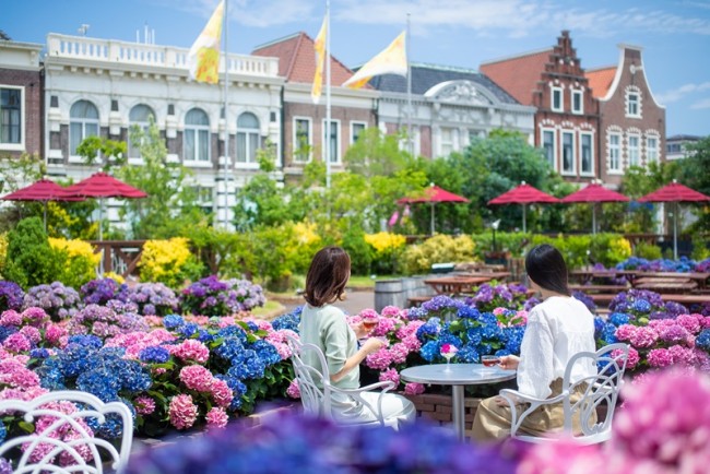 ハウステンボス「あじさい祭」開催！　1250品種の花々がヨーロッパの街並みを彩る