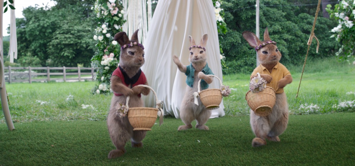 映画『ピーターラビット2/バーナバスの誘惑』場面写真