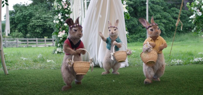 映画『ピーターラビット2/バーナバスの誘惑』場面写真