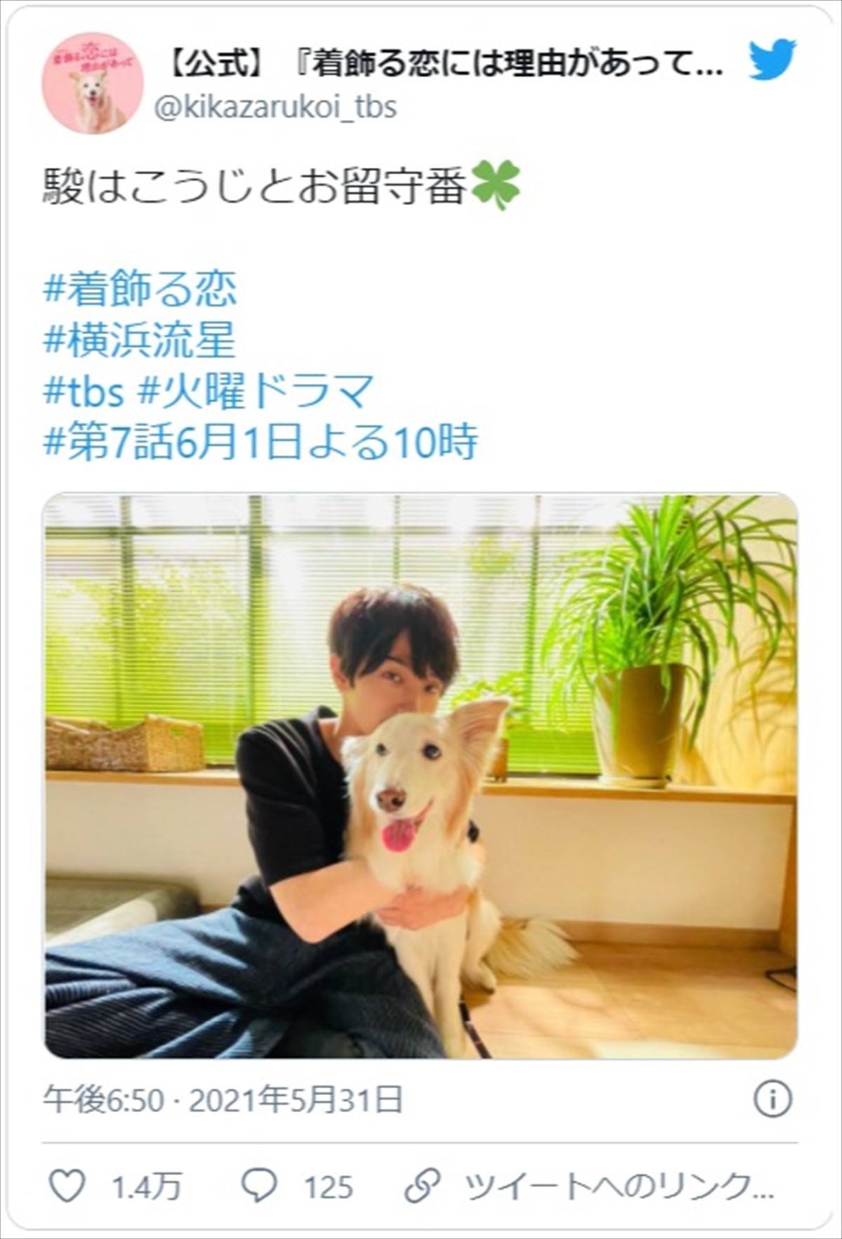 横浜流星、“愛犬”こうじとお留守番 『着飾る恋』癒やしのオフショットにネット胸キュン