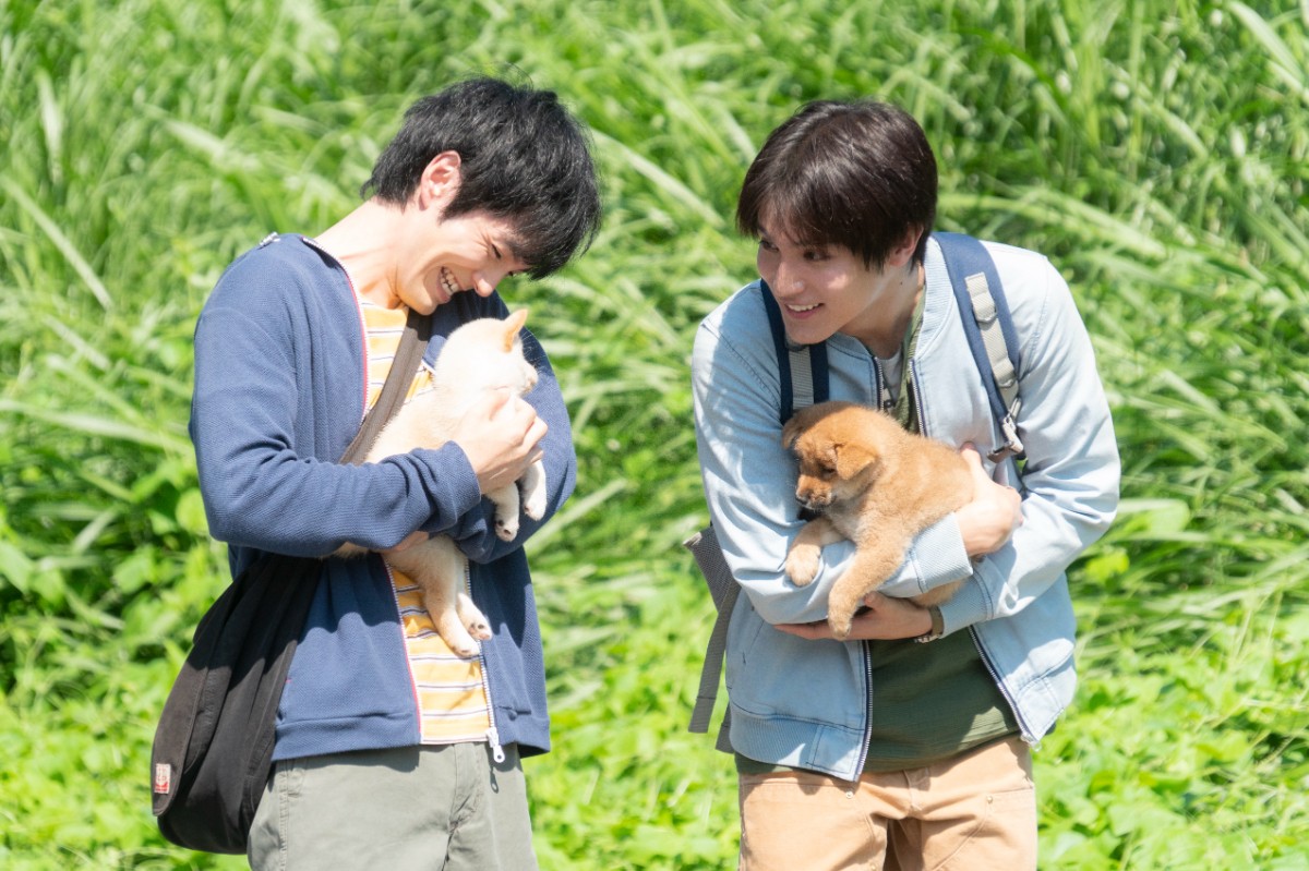 林遣都が犬と眠る姿も　中川大志ら動物保護に人生をかける『犬部！』場面写真10点解禁