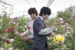映画『ブルーヘブンを君に』場面写真