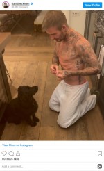 愛犬にお手を教えるデヴィッド・ベッカム　※「デヴィッド・ベッカム」インスタグラム