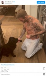 愛犬にお手を教えるデヴィッド・ベッカム　※「デヴィッド・ベッカム」インスタグラム