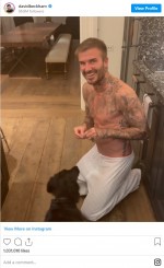 愛犬にお手を教えるデヴィッド・ベッカム　※「デヴィッド・ベッカム」インスタグラム