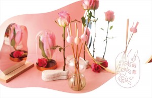 “花のように飾って楽しめる”新しい花火発売！　静岡の老舗花火製造会社から誕生