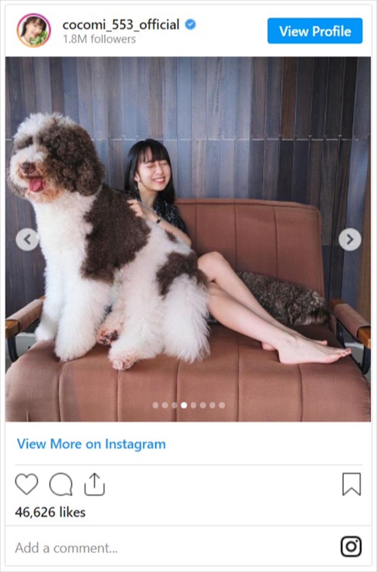 Cocomi、美脚がスラリ　愛犬とたわむれるキュートなオフショットに反響