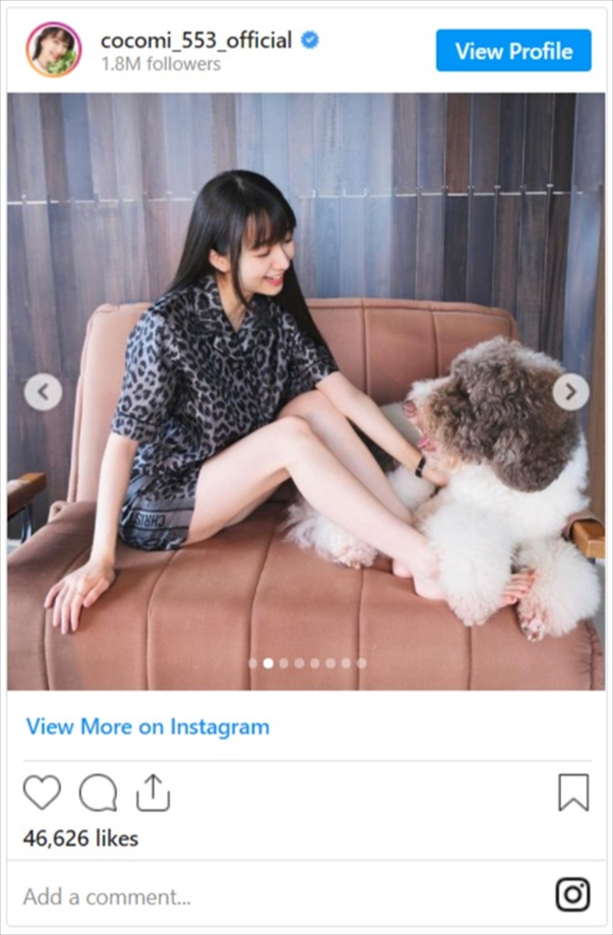 Cocomi、美脚がスラリ　愛犬とたわむれるキュートなオフショットに反響