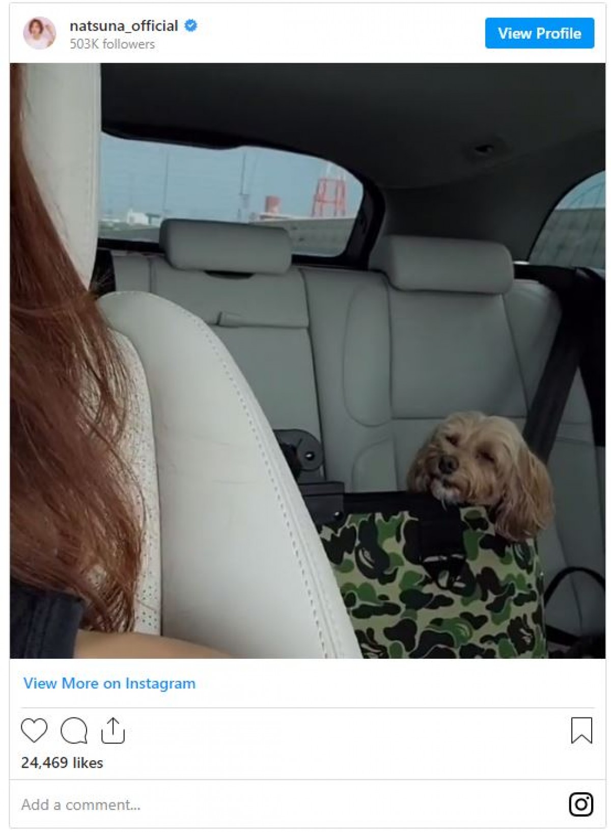 夏菜、夫＆愛犬とドライブ中の動画　ファン「旦那さんが羨ましい」