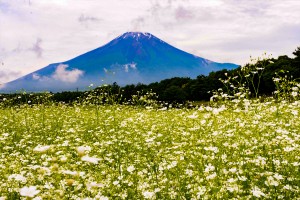 富士山　グランピング施設