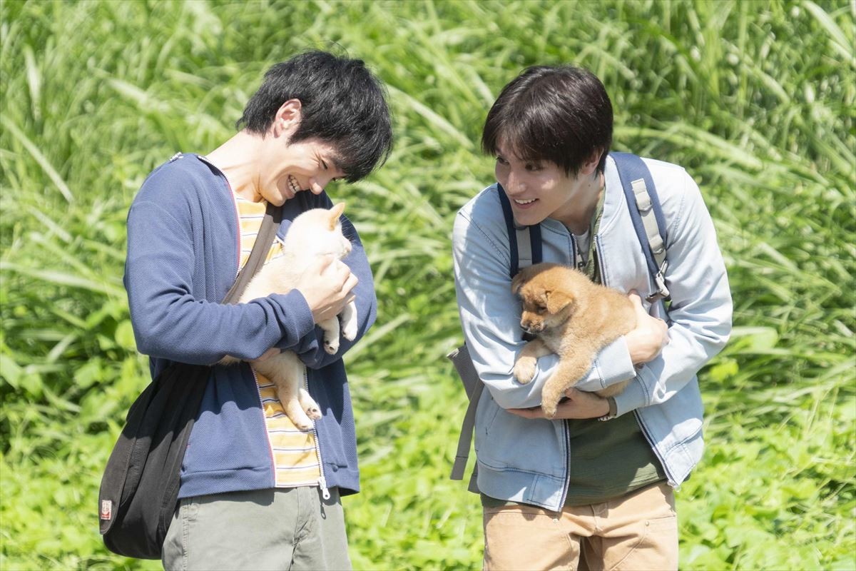 中川大志、『犬部！』撮影現場で見せる無邪気＆迫真の振り幅！　メイキング映像解禁