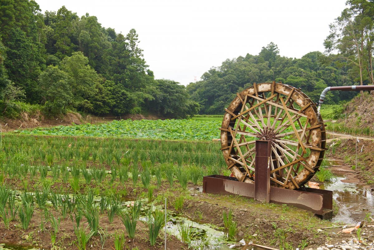 成田に農業テーマパークが登場！
