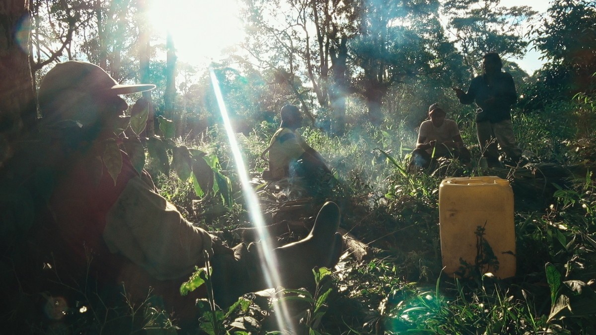 『カナルタ 螺旋状の夢』アマゾン奥地に1年滞在　神秘の世界を映す予告編公開