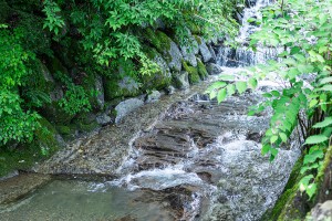 「FOREST GLAMPING－牛滝温泉 四季まつり－」