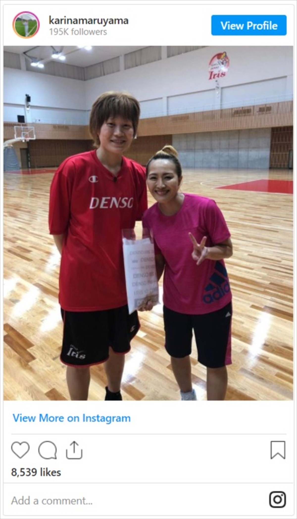 ＜東京2020＞丸山桂里奈、女子バスケ主将・高田真希との身長差2ショットに反響