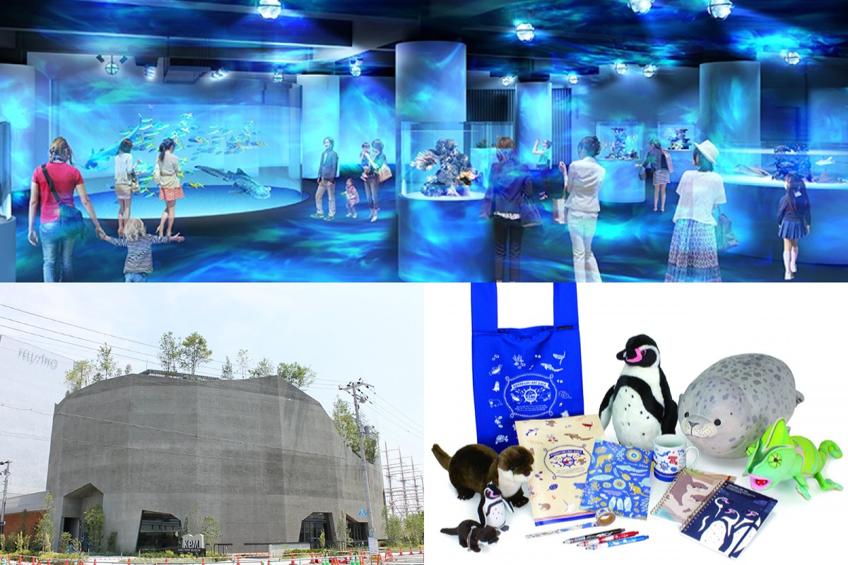 新感覚水族館“atoa”オープン！