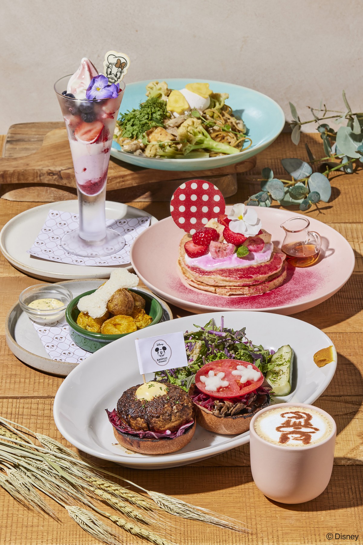 Disney HARVEST MARKET By CAFE COMPANY