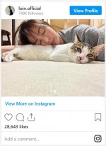 井川遥、ネコとたわむれリラックス　※「井川遥」インスタグラム