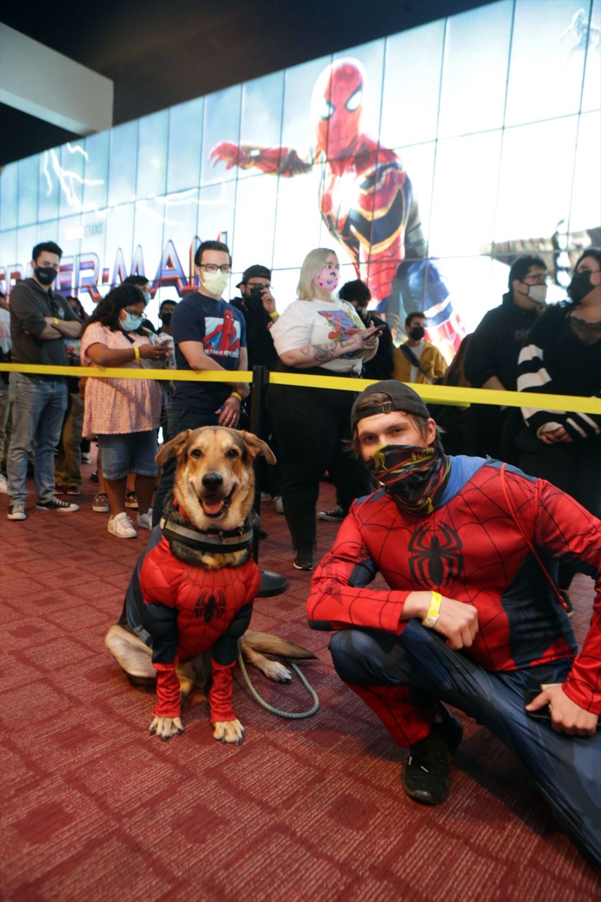 トム・ホランド「これは史上最高級のスーパーヒーロー映画」 『スパイダーマン』新作予告上映イベントに登場