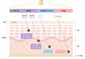 ブルーライトケアができるナイトクリーム