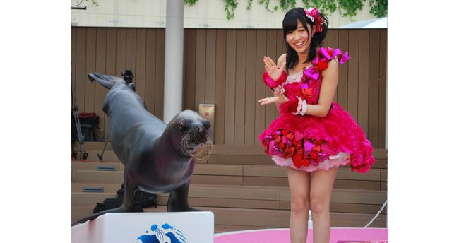 自分を動物に例えると ナマケモノ 指原莉乃がアシカと前代未聞のコラボイベント開催 12年5月27日 エンタメ ニュース クランクイン 自分を動物に例えると ナマケモノ 指原莉乃がアシカと前代未聞のコラボイベント開催 12年5月27日 エンタメ ニュース クランクイン