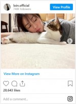 井川遥、ネコとたわむれリラックス　※「井川遥」インスタグラム