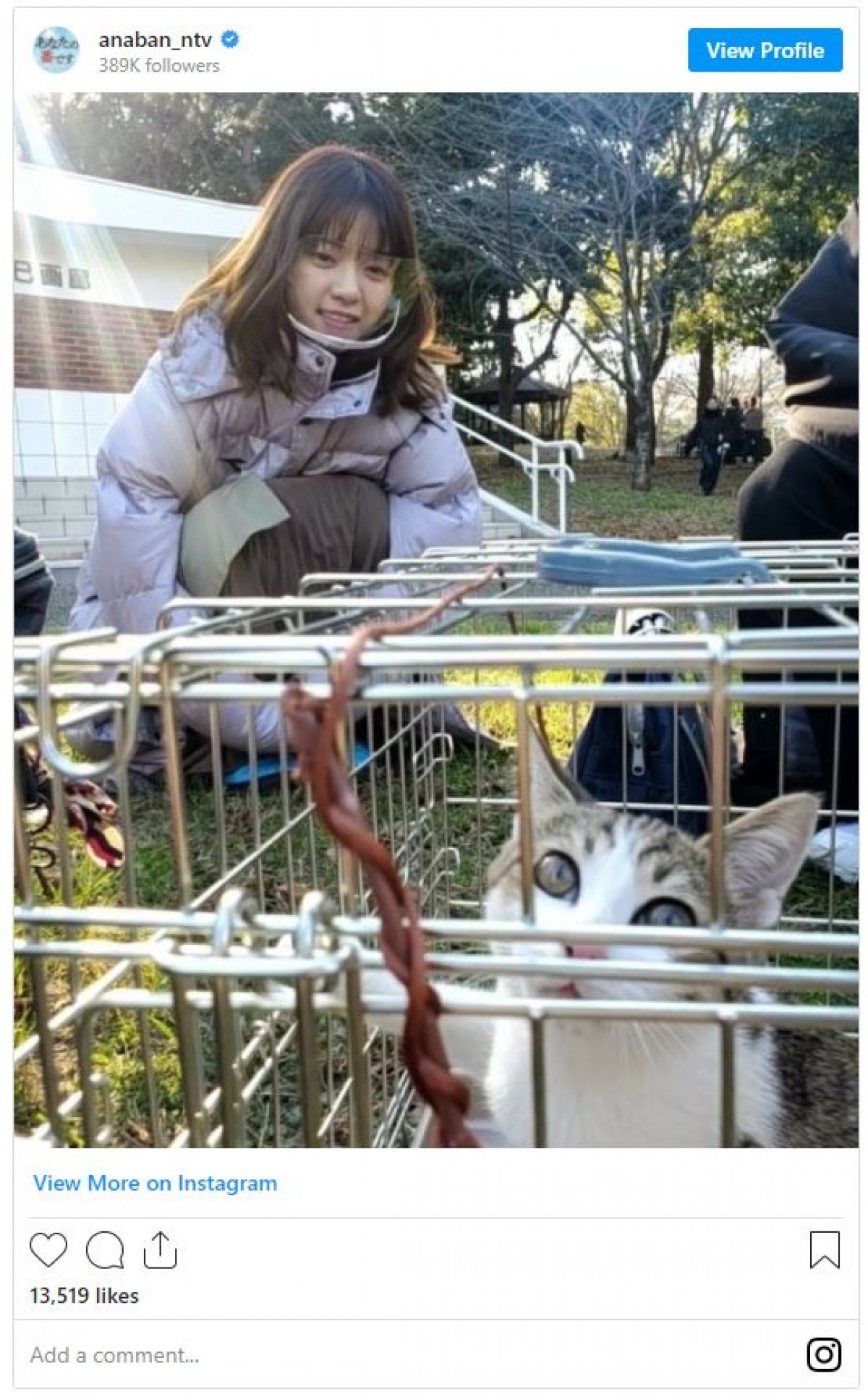 西野七瀬、にゃんこ眺める“かわいいが渋滞”ショットに反響